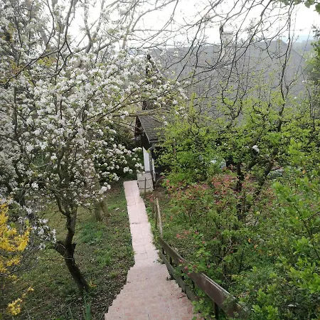 House Cervena Veza Lodge *